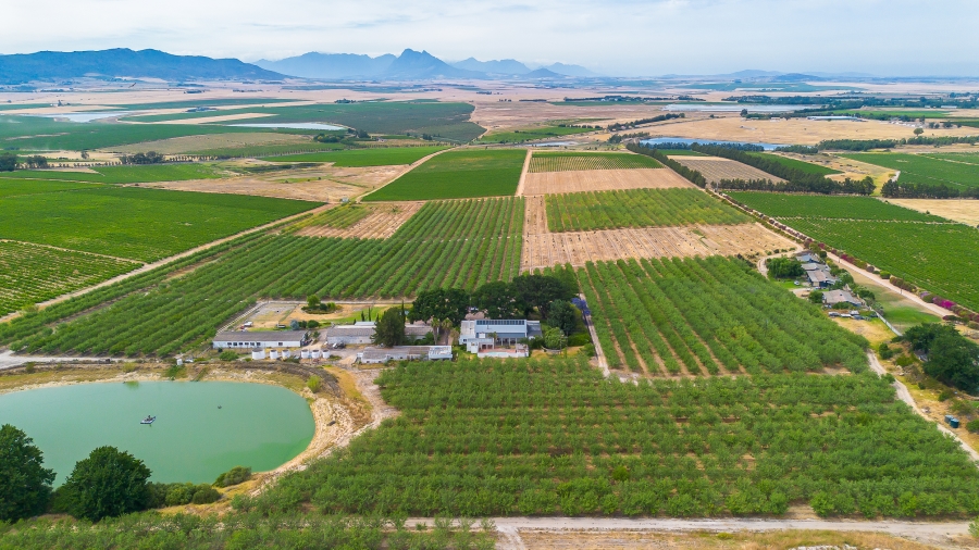 4 Bedroom Property for Sale in Paarl Rural Western Cape